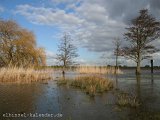 Deichvorland bei Hochwasser.JPG